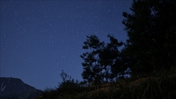 ꡼ No.014Υͥ / ˤʤΥStone Simulator - Just Be a RockסSteam򳫻ϡ͵ΰܤѤȤƸ