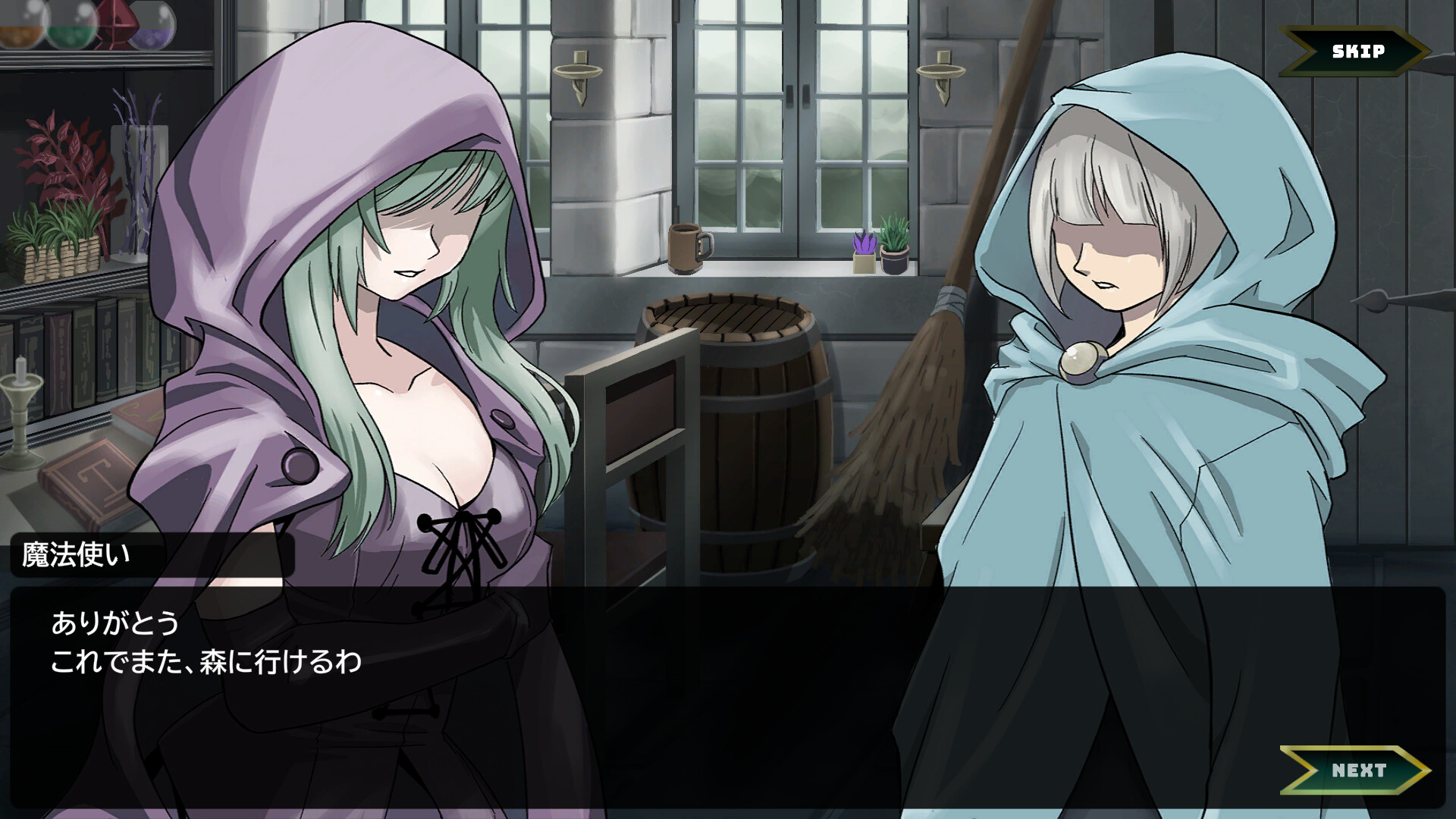 ꡼ No.005 | PC ˡȤν Sorcerer's Servant