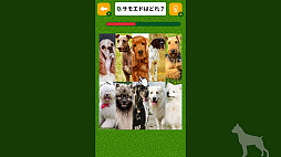 Ǿȥ졪̸꡼ΤǾȥǾ軨ضܥ