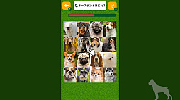 Ǿȥ졪̸꡼ΤǾȥǾ軨ضܥ