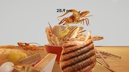 画像ギャラリー No.008のサムネイル画像 / 自分だけのラーメンが作れる「らーめんシミュレーター」，体験版をSteamで配信開始。トッピングをできるだけ高く積む「マシマシ」にも挑戦可能