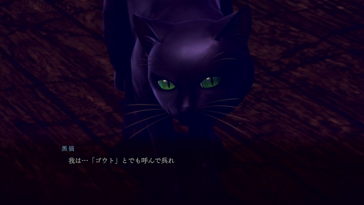 ꡼ No.014Υͥ / ֥ǥӥ륵ޥʡե饤ɥĶʼġפѥåפɤ롣HDޥRAIDOU Remastered: ĶʼĴפȯɽ