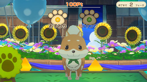 ꡼ No.006 | Ҿʪ Let'sΥɥХס̤֤פפξɾͥȡưʪʪ֥ɲǤ