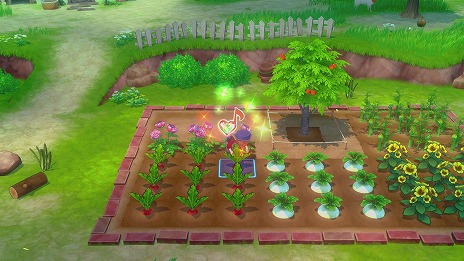 ꡼ No.010 | Ҿʪ Let'sΥɥХ߷׽вܿ50ܤˡޤĤޤˤ뵭ǰ饹Ȥ