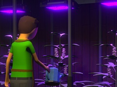 ǥ顼Schedule IסïǤͷ٤̵θǤ2ָǸ档ǤѤʤɿǽåΤ