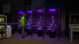 ꡼ No.004 | Schedule I