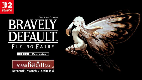 ꡼ No.011 | ֥֥쥤֥꡼ǥե ե饤󥰥ե꡼ HDޥפNintendo Switch 2Ʊ65ȯ