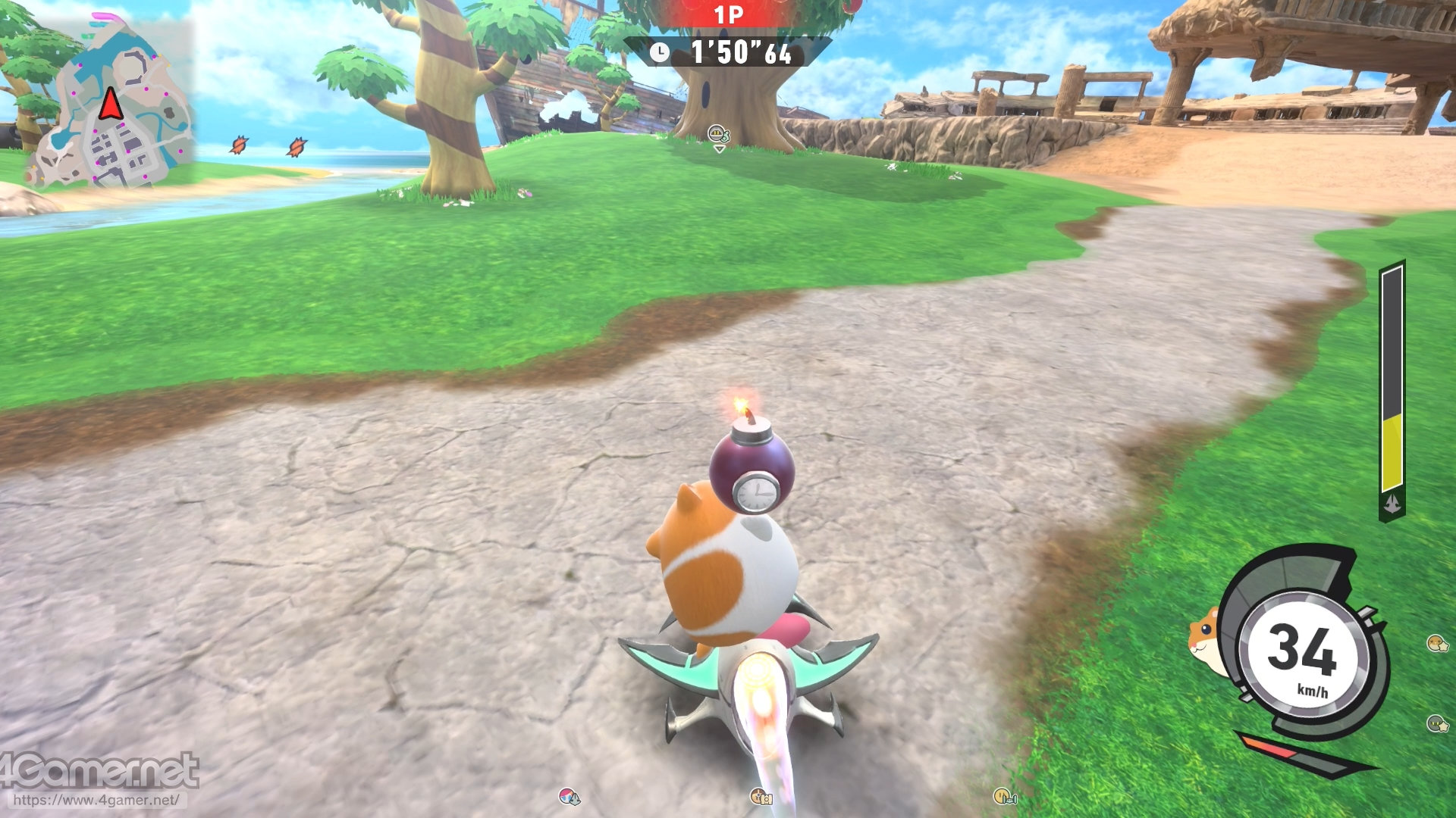 ꡼ No.013 | ֥ӥΥ饤פᤷ饤ɤǴɤɤγڤƥȥ饤ΡȻθݡ