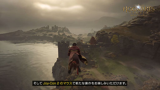 ���������꡼ No.003�Υ���ͥ������ / Nintendo Switch 2�ǡ֥ۥ���ġ��쥬�����ס�6��5����ȯ��