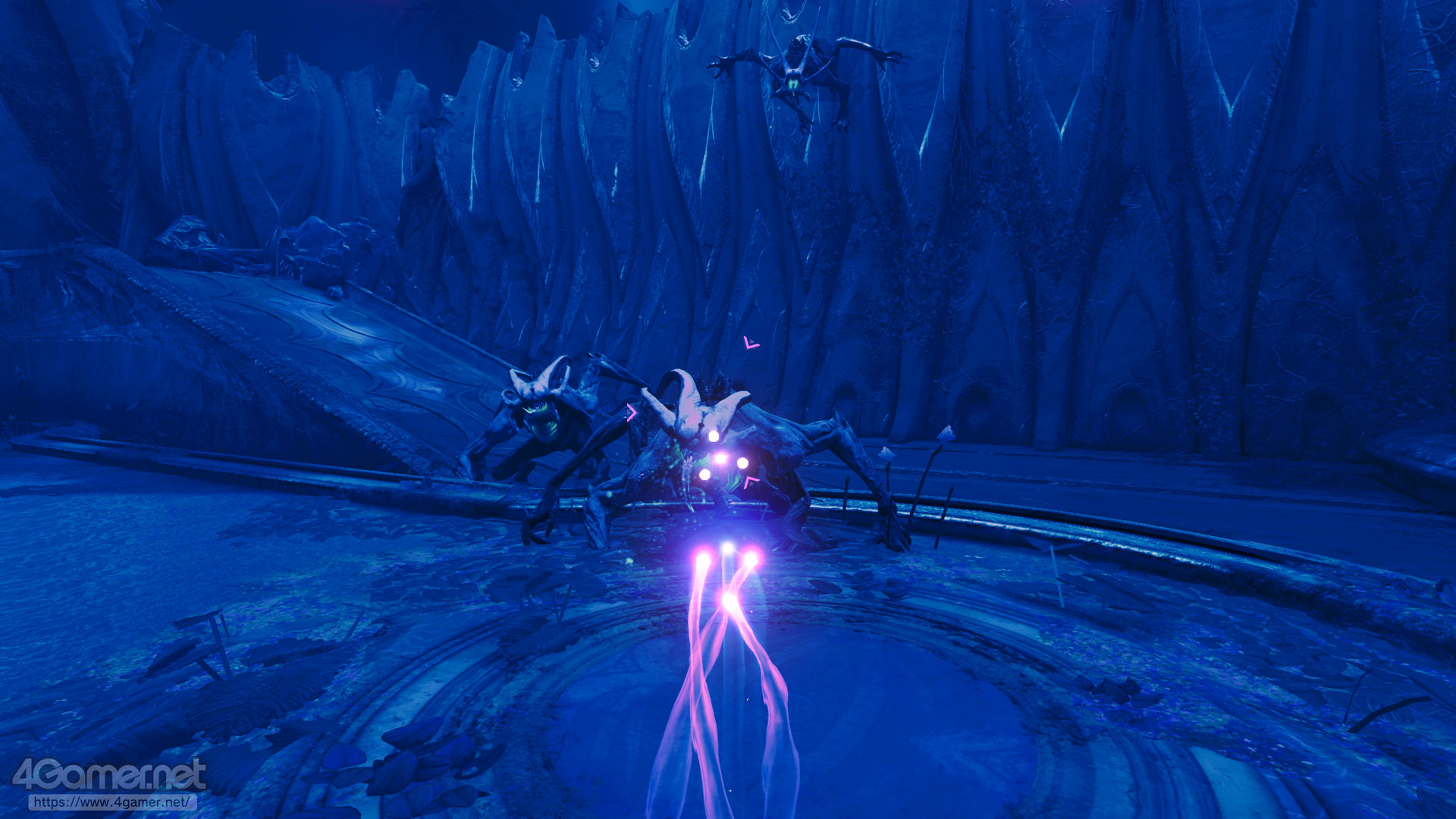 ꡼ No.015 | Υץ쥤ݡ̤ΤǻϤޤ륵ॹο꡼Ϥ뤬֥ȥɥץ饤4 ӥɡԥץ쥤