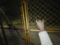 ��Pok���mon LEGENDS Z-A��2����Ե�̣�ʲ�������ơ��ִŤ������ʤ���ʪ����פȤ��ơ�8��21���ˡȤȤ���ư�襵���Ȥ���Ƥ��줿�����ɤ����ͽ��