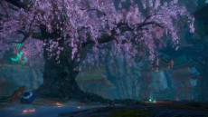 ꡼ No.009Υͥ / ϥƥ󥰥WILD HEARTS SסSwitch2ȯ䡣Ĥˤ¶ץ쥤ۿ7262000»