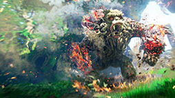 ꡼ No.004 | WILD HEARTS S