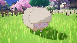 ���������꡼ No.005�Υ���ͥ������ / ��ζ�ι� �롼��ե����ȥ꡼��̵���ɲå���ƥ�ġ��Ҿ�ʪ�� Let��s�����Υ����ɥХ�����פ��ۿ����ϡ��������˥�ȥꡤ�ҥĥ�������ѥ������