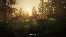 画像ギャラリー No.005のサムネイル画像 / PS5向けバンドル「The Last of Us Complete」,本日発売。追加コンテンツも含めたシリーズ2作品を一挙に楽しめる