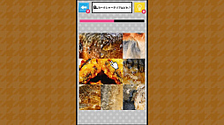 Ǿ�ȥ쥯���� ��ʪ��õ��������������ä���Ǿ�襢�ϳ軨�ض��ܿ��ǥƥ��ȡ�