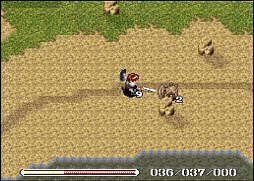 ꡼ No.015 | Collectionʲ