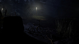 ꡼ No.003 | Forest 6174