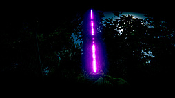 ꡼ No.003 | The Silent Forests