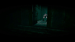 ꡼ No.004 | The Silent Forests