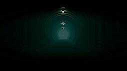 ꡼ No.005 | The Silent Forests