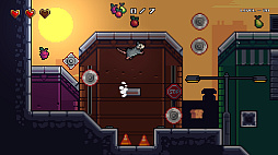 ꡼ No.001 | Possum is Hungry