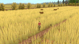 ꡼ No.011 | Forgotten Fields