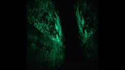 ���������꡼ No.006�Υ���ͥ������ / ���פ�����ϩ�ǰ۾�����������ɤ���ۥ顼�������Washout�ס�Steam���ۿ����ϡ���꡼����ǰ���������96�ߤǹ����Ǥ���