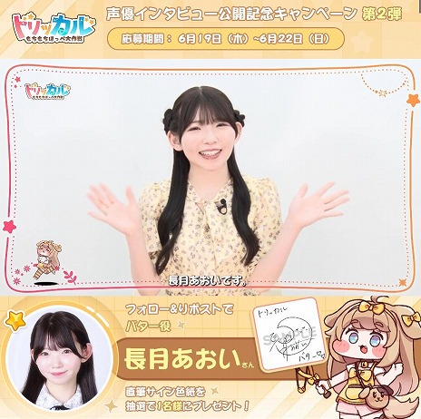 ꡼ No.005Υͥ / ֥ȥå롦ۤåץ饯PV2ơ֥ХCVĹˡפCBTο٥ȡ֥ɥ꡼ɡ׳