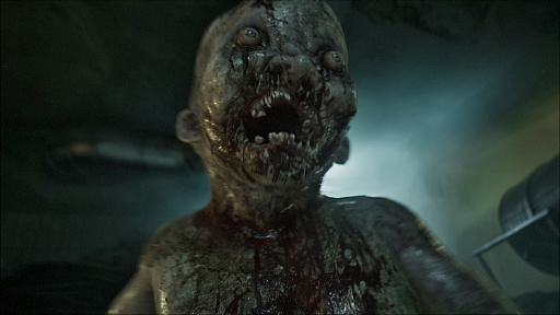 ꡼ No.002 | ƥʥ꡼㡼о줹륵ХХۥ顼ILLȯɽ٥ȥ¸θ