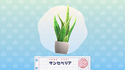 ꡼ No.005 | ChooͥߤΤǥ졼