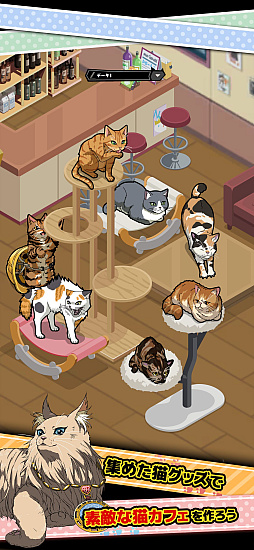 ニャイト・ランニャーズ