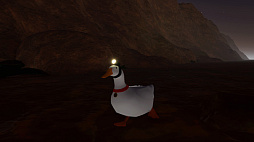 ꡼ No.004 | Ducky: The Curious