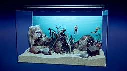 ꡼ No.001 | ޥꥦ -Muscle Aquarium Simulator-