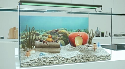 ꡼ No.002 | ޥꥦ -Muscle Aquarium Simulator-