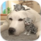 �ѥå�����