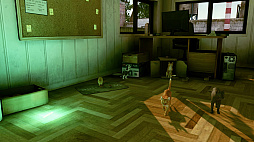 ꡼ No.002 | Little Strays