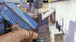 ꡼ No.004 | Little Strays