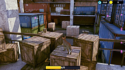 ꡼ No.006 | Little Strays