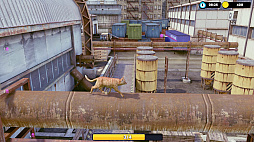 ꡼ No.007 | Little Strays