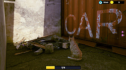 ꡼ No.001 | Little Strays