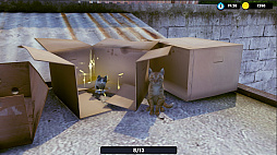 ꡼ No.003 | Little Strays