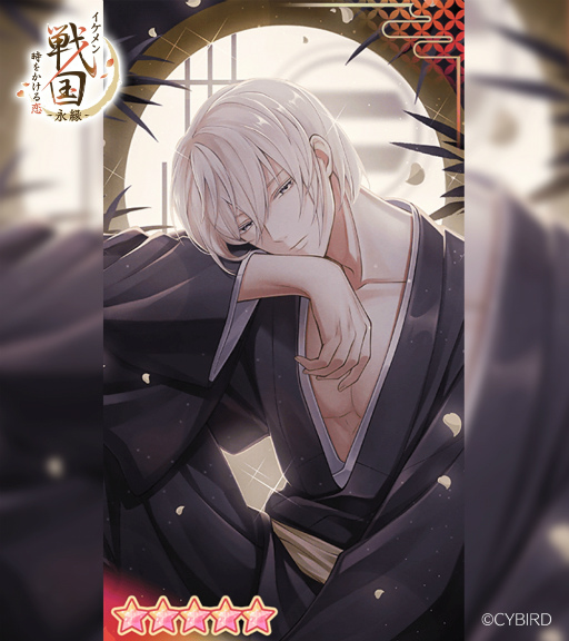 ꡼ No.005Υͥ / ֥ 򤫤 -ʱ-ץ㥹ȥϢ 1­λ統󤬸롤ۤǤ뾭λ