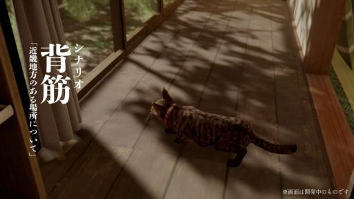 ꡼ No.002Υͥ / 1ɤǭȤʤꡤԵ̣ʲԤƨʤ鵭򽸤롣õƥ륹֤ޤǭƨޤסۿ˷