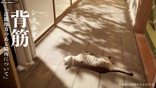 ꡼ No.003Υͥ / ֶᵦΤˤĤơԤʥꥪݤ롤ǭ͸Υۥ顼֤ޤǭƨޤס1027ȯ