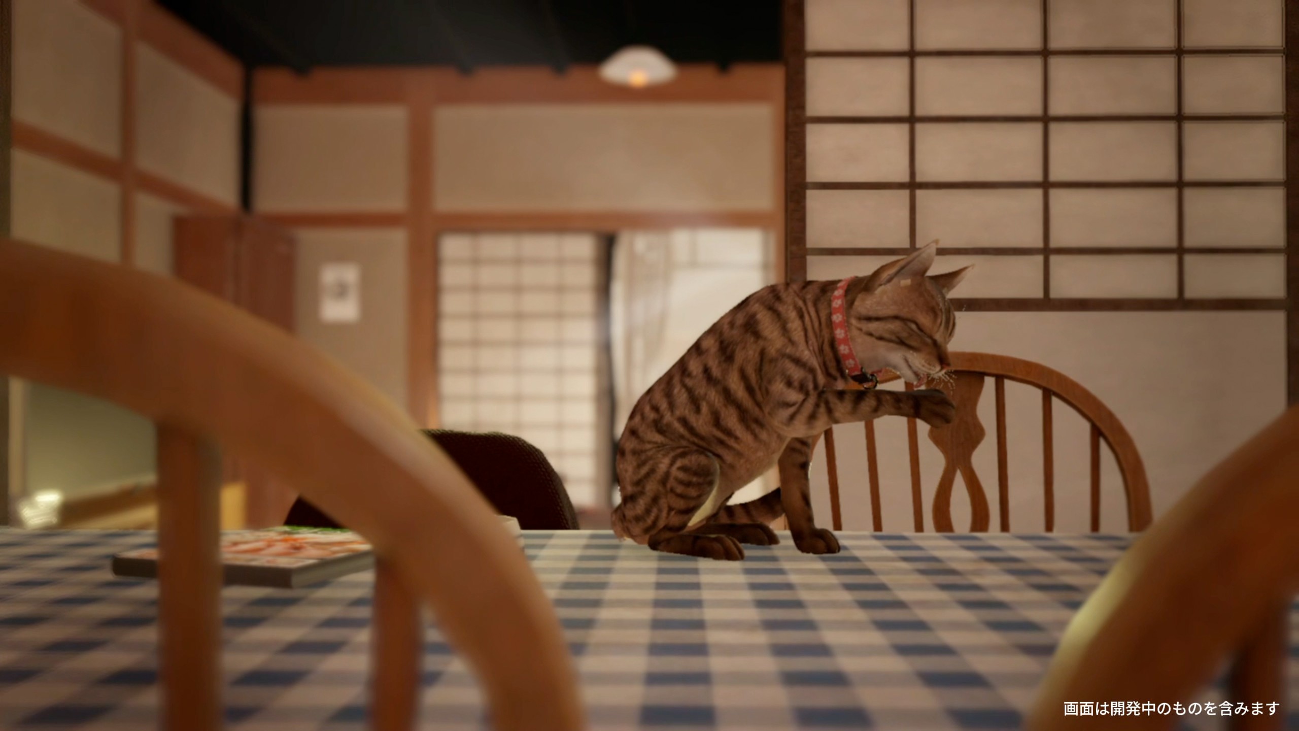 ꡼ No.008 | ǭȤʤäƸ̱Ȥõޤޤο롣֤ޤǭƨޤסSteam꡼