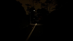 ���������꡼ No.007�Υ���ͥ������ / �ºߤ���ȥ�ͥ�������դˤ����ۥ顼���������󥰥��ߥ�졼�����Ե���ס�Steam���ۿ����ϡ��λ�Τ褦�ʴ��Ф�õ����ڤ��⤦