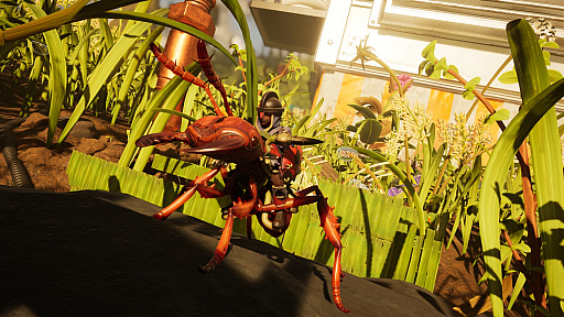 ꡼ No.005Υͥ / ϥ!?Grounded 2פǾͻΤȤǤ⥵ХХݸӤ夢