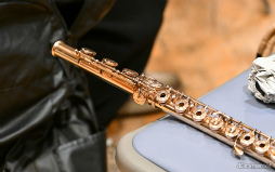 ꡼ No.009 | Rejet£뿷奨CDOVERNIGHTZBGMϿݡȡռԡꥨؤ鴶롤ʤؤǮ