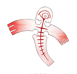 ꡼ No.014 | ߡסǽв񤦾ޡǥʤо쥭ξҲ𡣸ôҤΥ󥿥ӥ塼